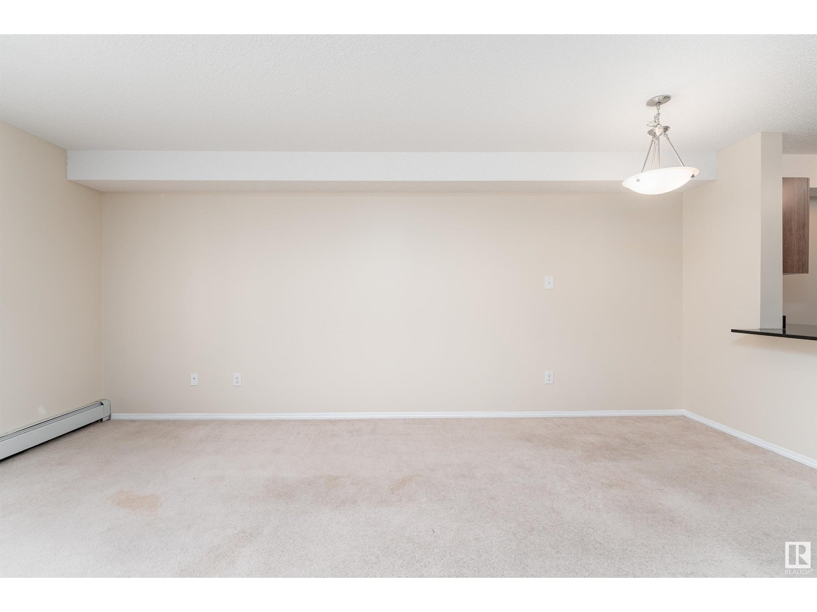 #206 11803 22 Av Sw, Edmonton, Alberta  T6W 2R9 - Photo 13 - E4419605