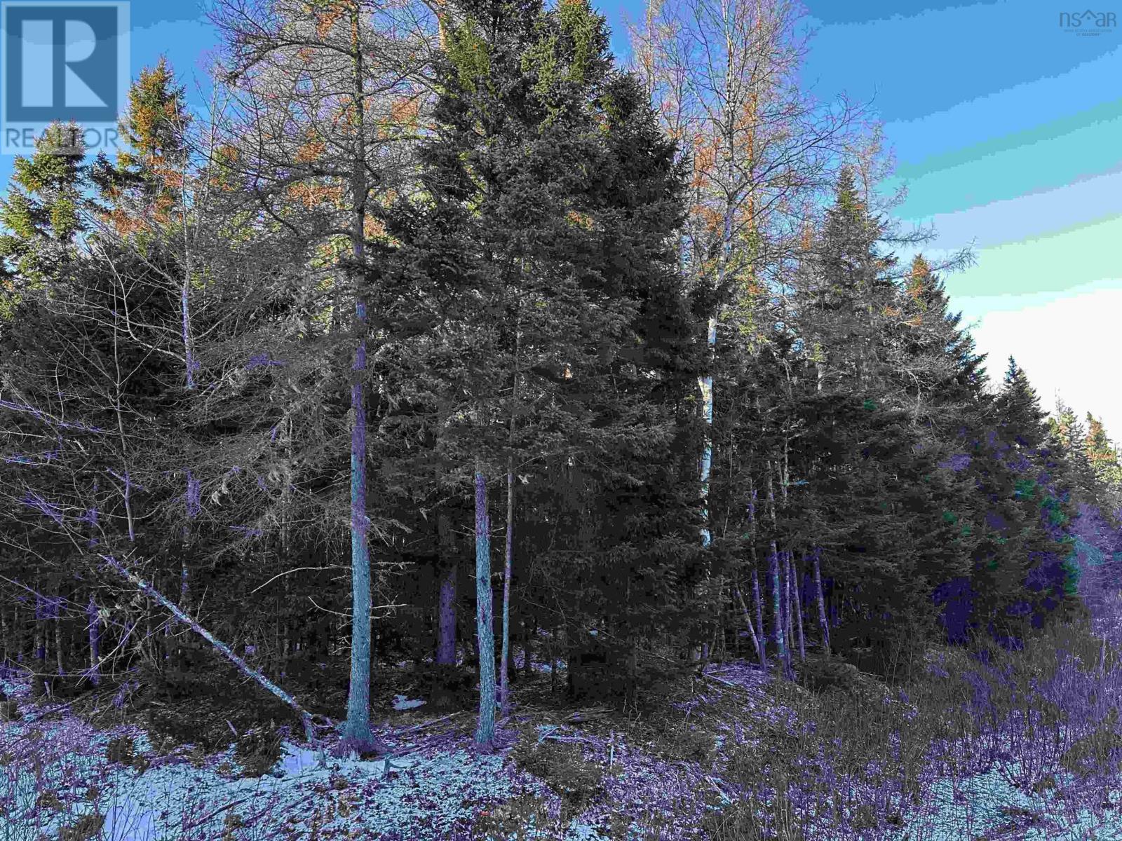 Lot 31 Marble Mountain Road, Allans Point Road, Valley Mills, Nova Scotia  B0E 2Y0 - Photo 16 - 202501901