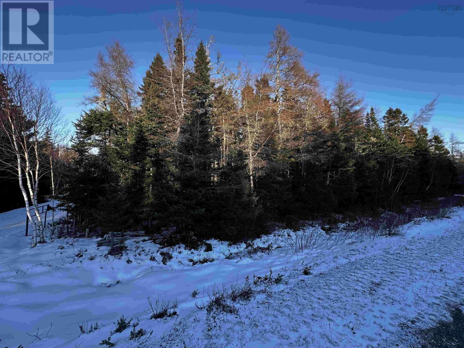 Lot 31 Marble Mountain Road, Allans Point Road, Valley Mills, Nova Scotia  B0E 2Y0 - Photo 21 - 202501901