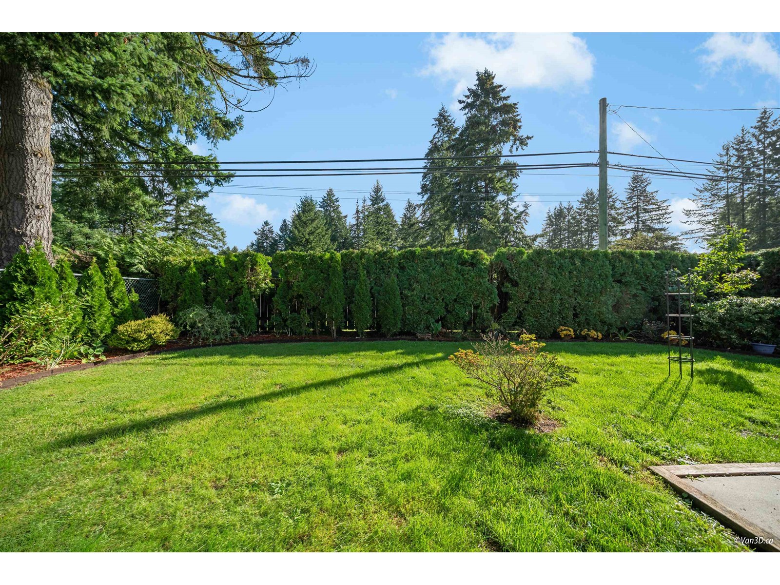 3353 200 Street, Langley, British Columbia  V3A 4W5 - Photo 4 - R2961697