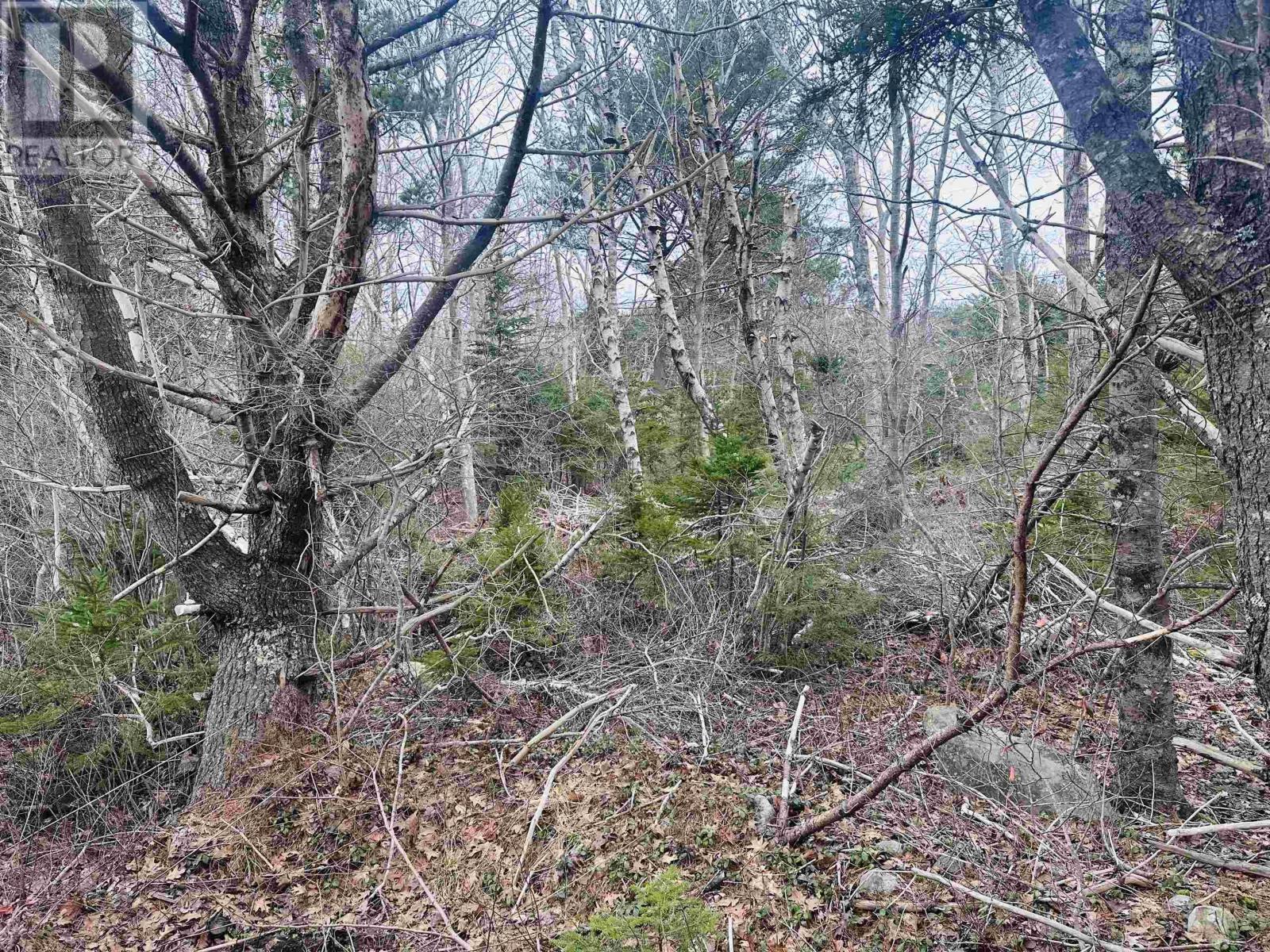 Lot No 3 Highway, Jordan Falls, Nova Scotia  B0T 1W0 - Photo 10 - 202501909