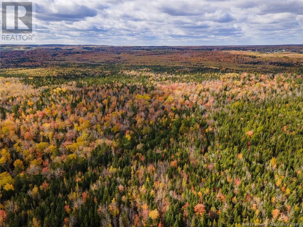Lot Maclean Crossroad, Irishtown, New Brunswick  E1H 1R6 - Photo 10 - NB111895