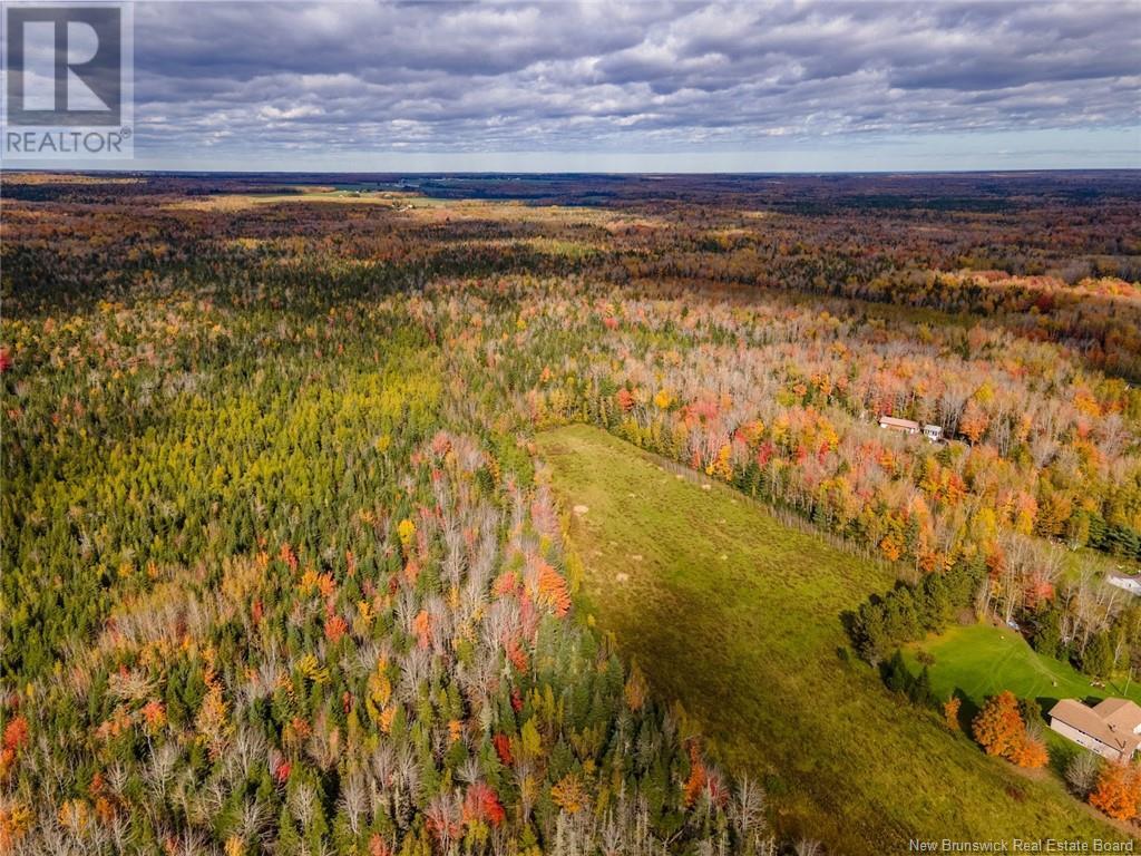 Lot Maclean Crossroad, Irishtown, New Brunswick  E1H 1R6 - Photo 6 - NB111895