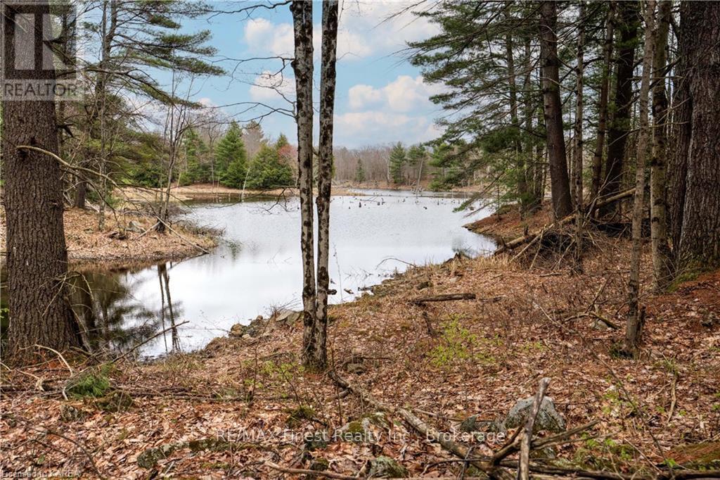 Old Sulphide Road, Tweed, Ontario  K0K 3A0 - Photo 17 - X9410897