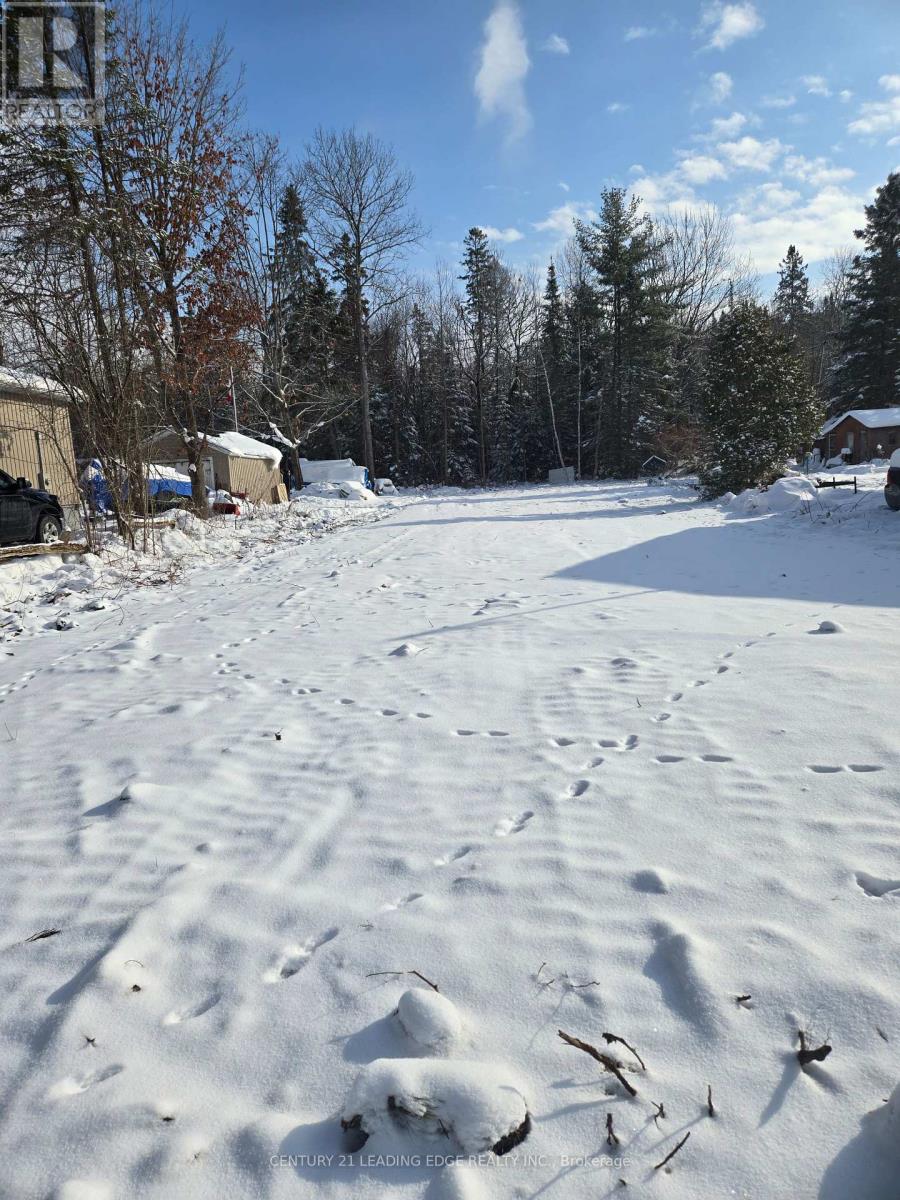 77 Antiquary Beach Road N, Kawartha Lakes, Ontario  K0M 2B0 - Photo 3 - X11946744