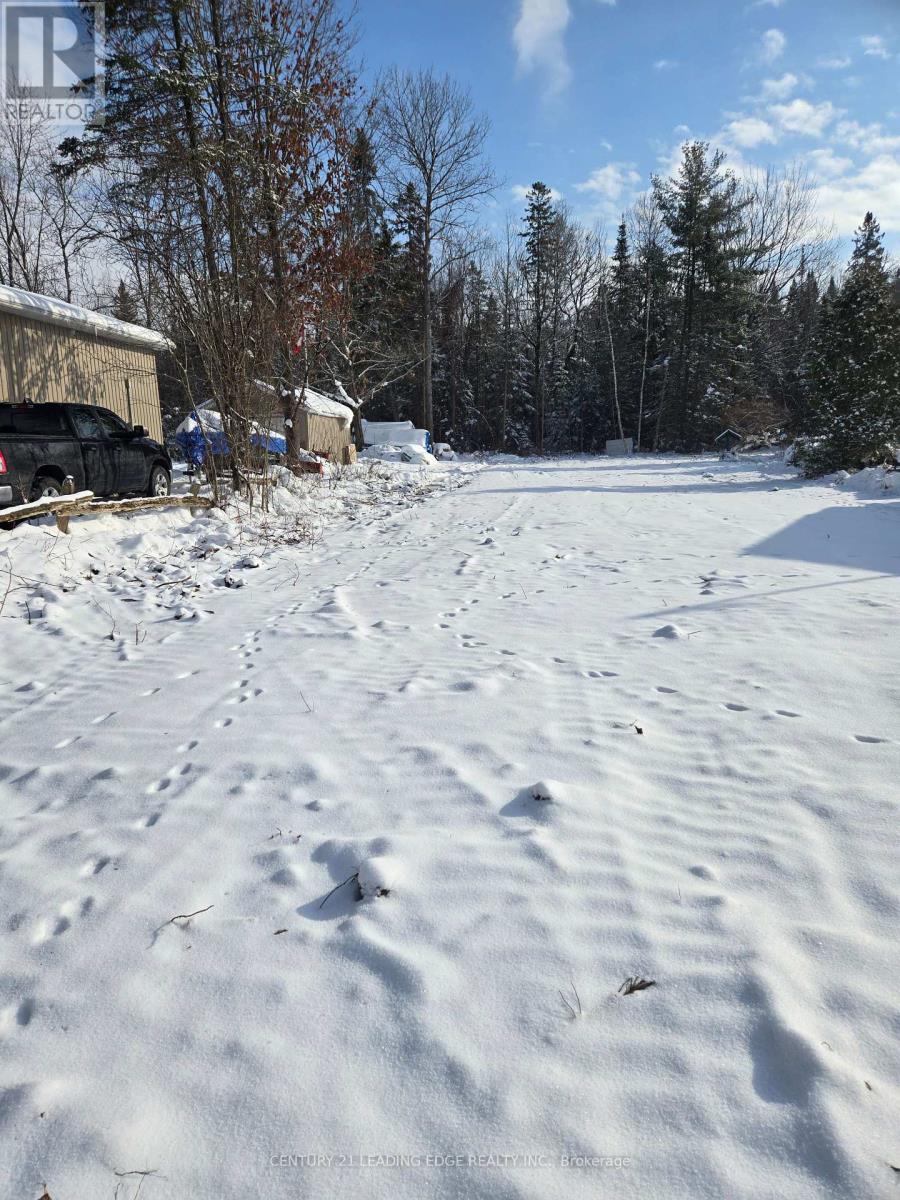 77 Antiquary Beach Road N, Kawartha Lakes, Ontario  K0M 2B0 - Photo 4 - X11946744