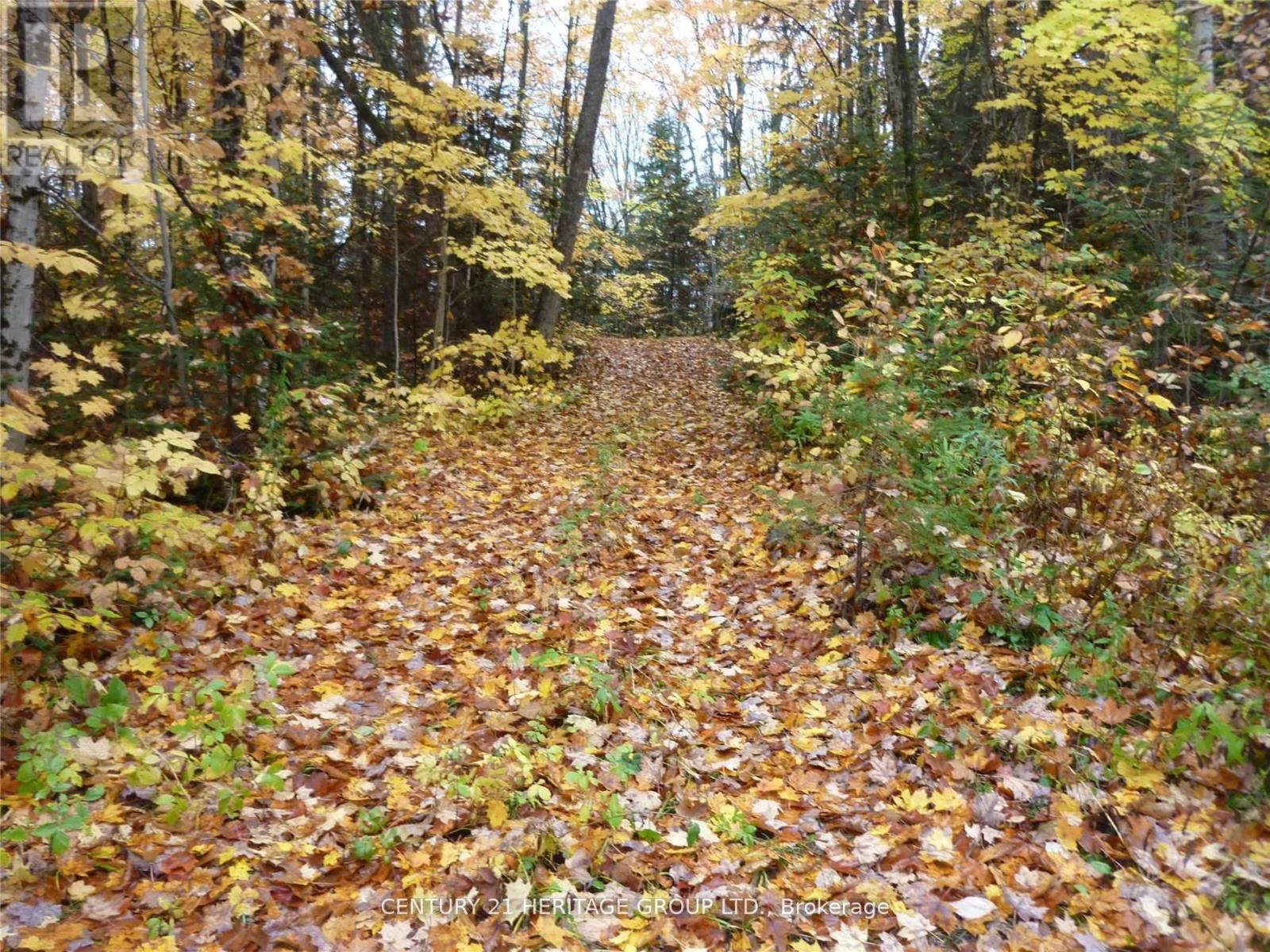 PT LT 8 CON 7 COUNTY RD 503 ROAD, highlands east, Ontario