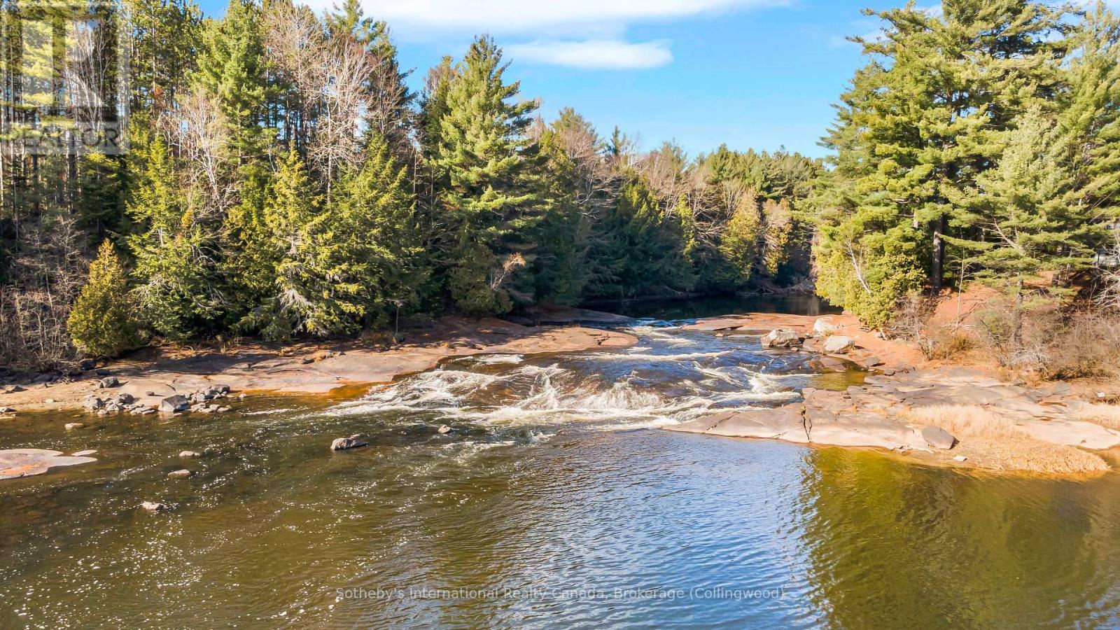 21 Sparrow Road, Kawartha Lakes, Ontario K0M 1C0 - Photo 36 - X10439660