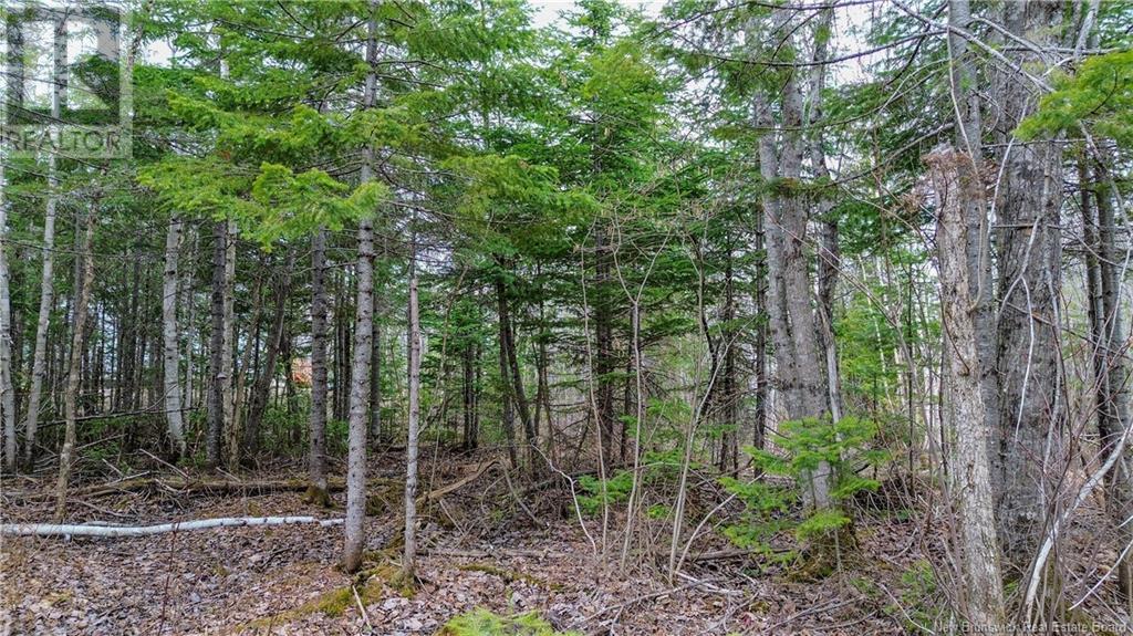Na Morrison, Beresford, New Brunswick  E8K 2H8 - Photo 1 - NB111914