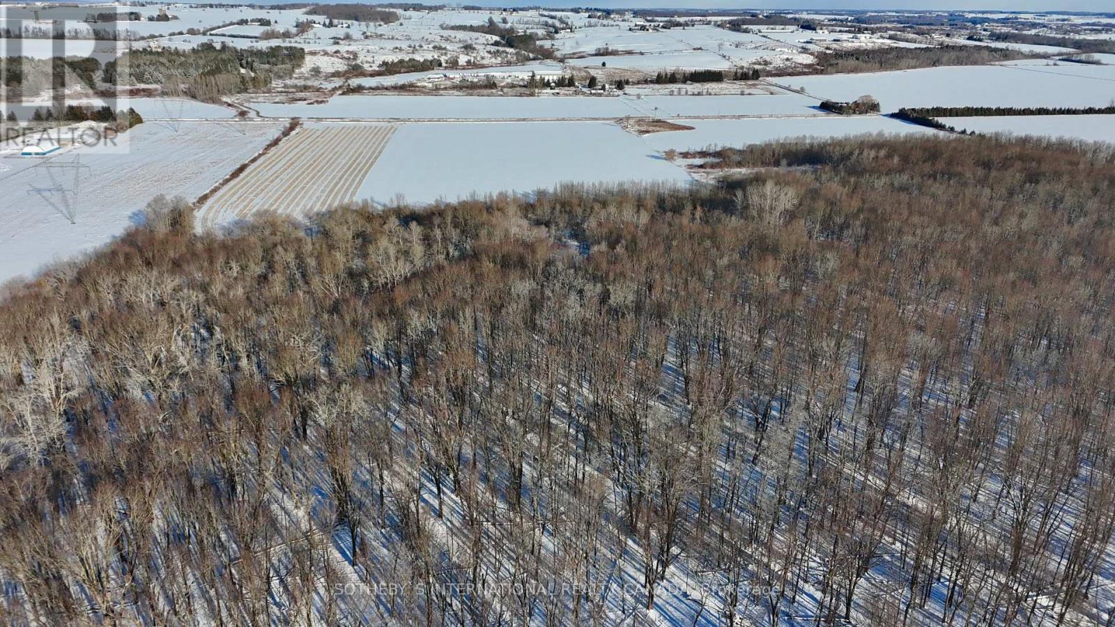 5231 13th Line, New Tecumseth, Ontario  L0G 1B0 - Photo 11 - N11937595