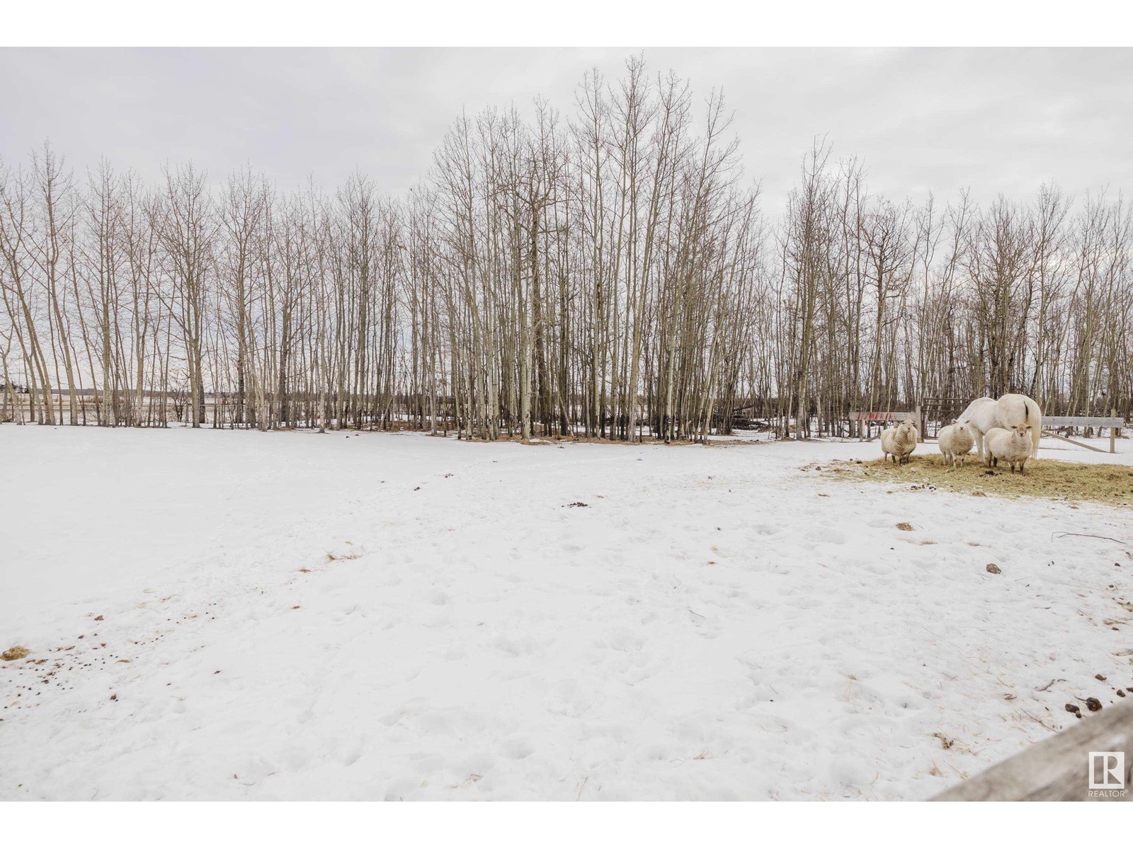 #11 2306 Twp Road 540, Rural Lac Ste. Anne County, Alberta  T0E 1V0 - Photo 48 - E4419666