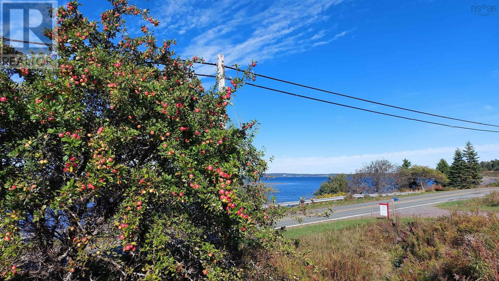 2714 Highway 320, Poulamon, Nova Scotia  B0E 1K0 - Photo 7 - 202422514