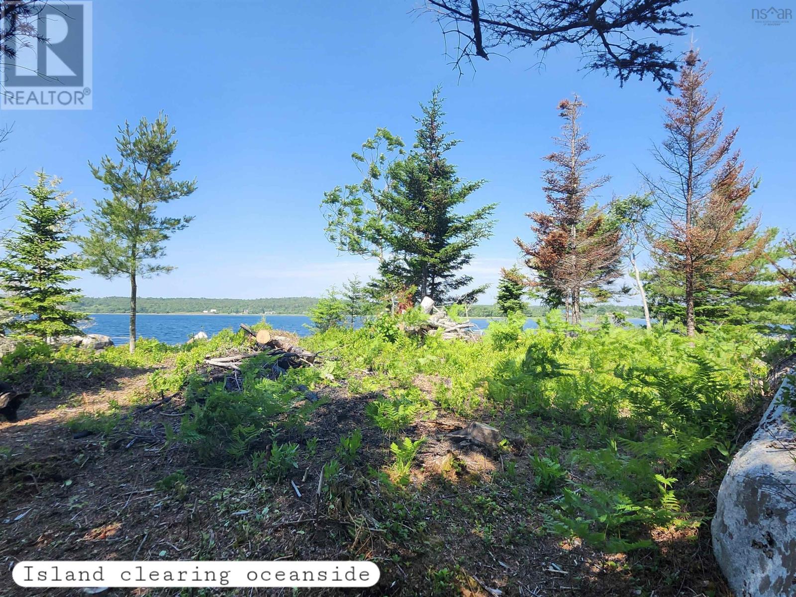 216 Hartz Point Road, Hartz Point, Nova Scotia  B0T 1W0 - Photo 35 - 202424316