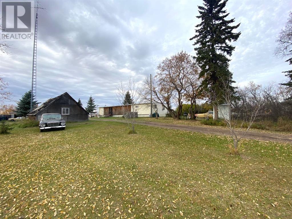 116 Alberta Ave, Bawlf, Alberta  T0B 0J0 - Photo 20 - A2086782