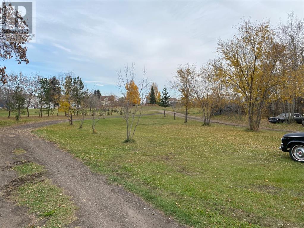 116 Alberta Ave, Bawlf, Alberta  T0B 0J0 - Photo 19 - A2086782