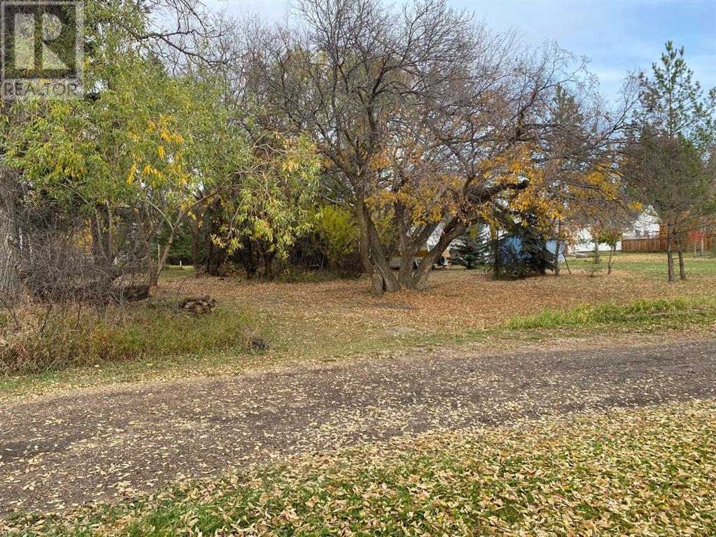 116 Alberta Ave, Bawlf, Alberta  T0B 0J0 - Photo 24 - A2086782