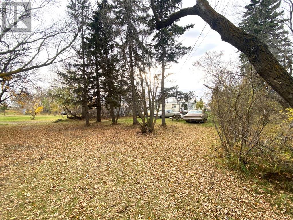 116 Alberta Ave, Bawlf, Alberta  T0B 0J0 - Photo 28 - A2086782