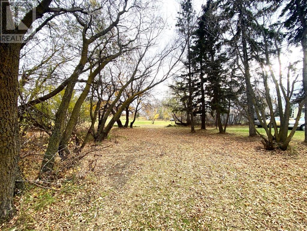 116 Alberta Ave, Bawlf, Alberta  T0B 0J0 - Photo 31 - A2086782