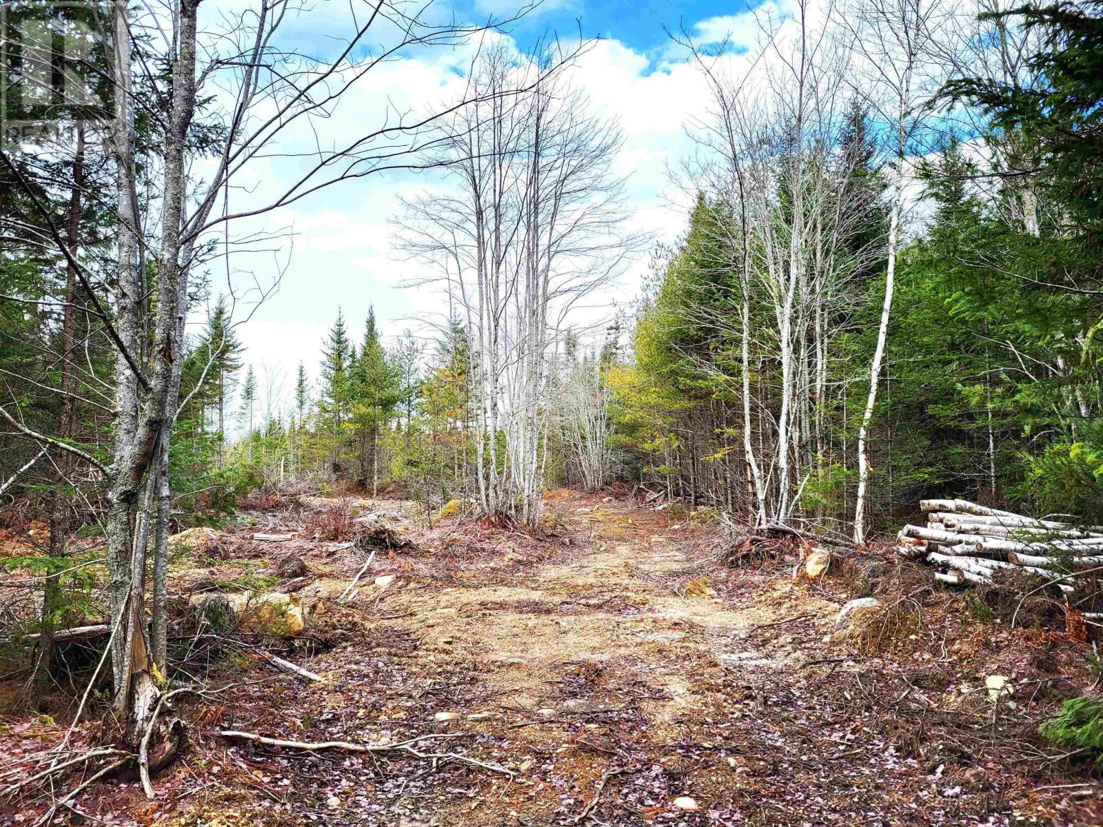 Lot Silver Road, Nineveh, Nova Scotia  B0R 1E0 - Photo 12 - 202402328