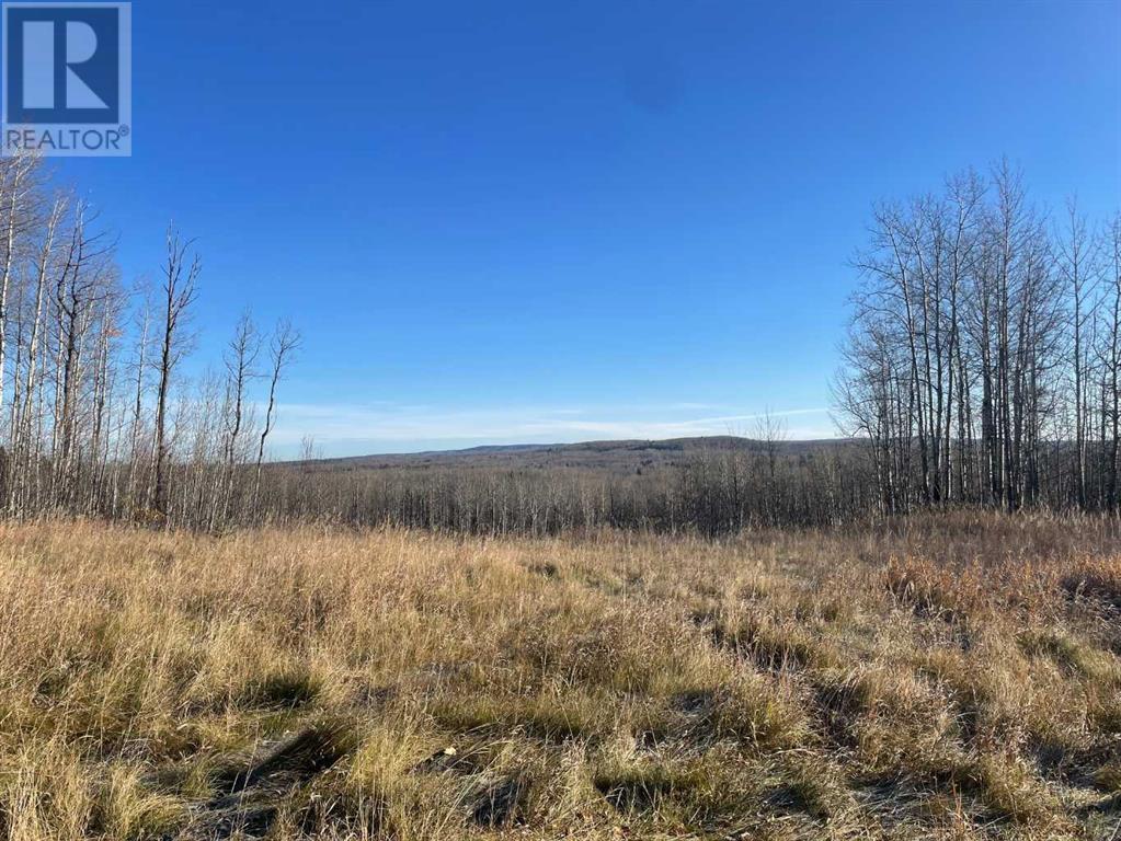 Township Road 584 Township, Rural Woodlands County, Alberta  T7S 1A1 - Photo 5 - A2176147