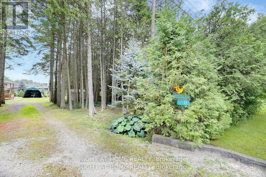 11 Sokil Boulevard, Oro-Medonte, Ontario  L0L 1T0 - Photo 24 - S11885385