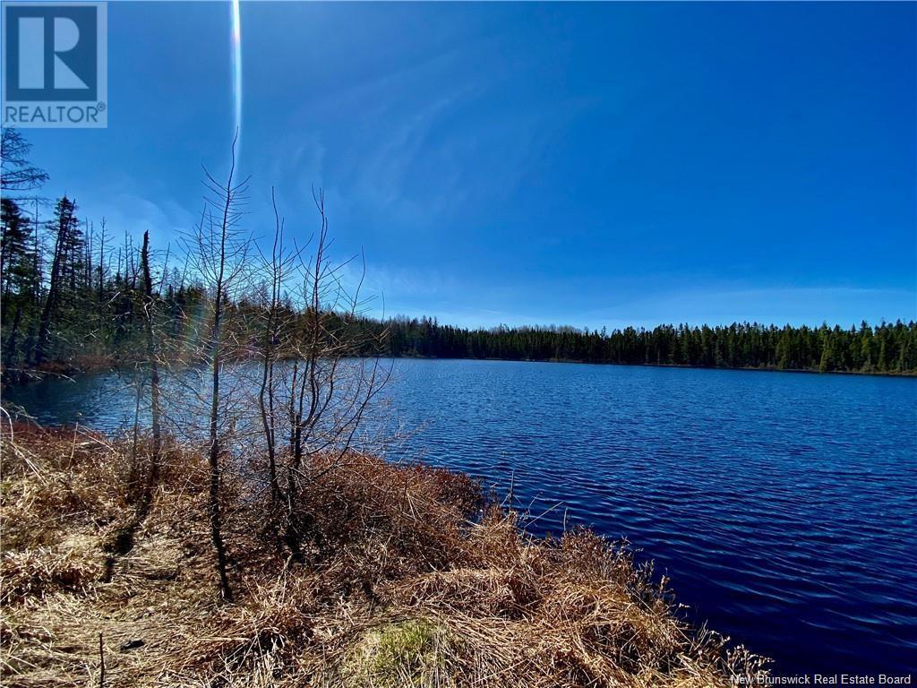 0 Goodine Cross Road, Sisson Ridge, New Brunswick