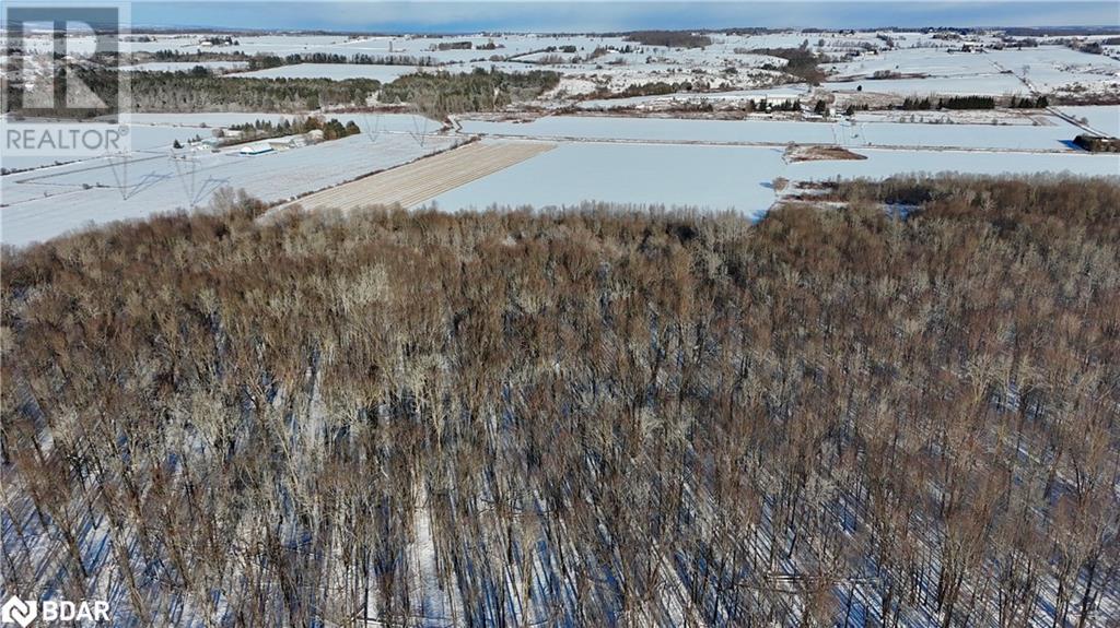 5231 13th Line Line, New Tecumseth, Ontario  L0G 1B0 - Photo 11 - 40688906