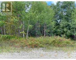 Plan 55M528 Lot 1, Schreiber, Ontario