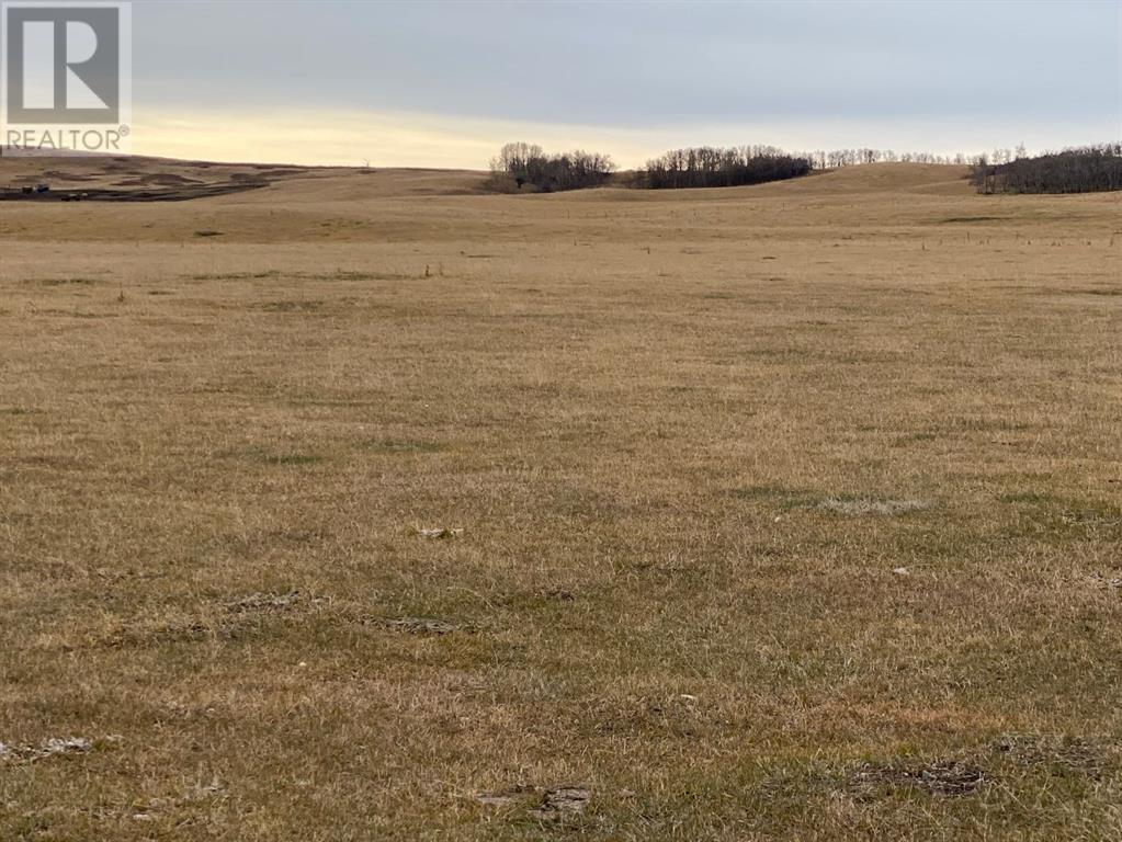 On Township Road 431, Rural Ponoka County, Alberta  T4J 1R1 - Photo 1 - A2186972