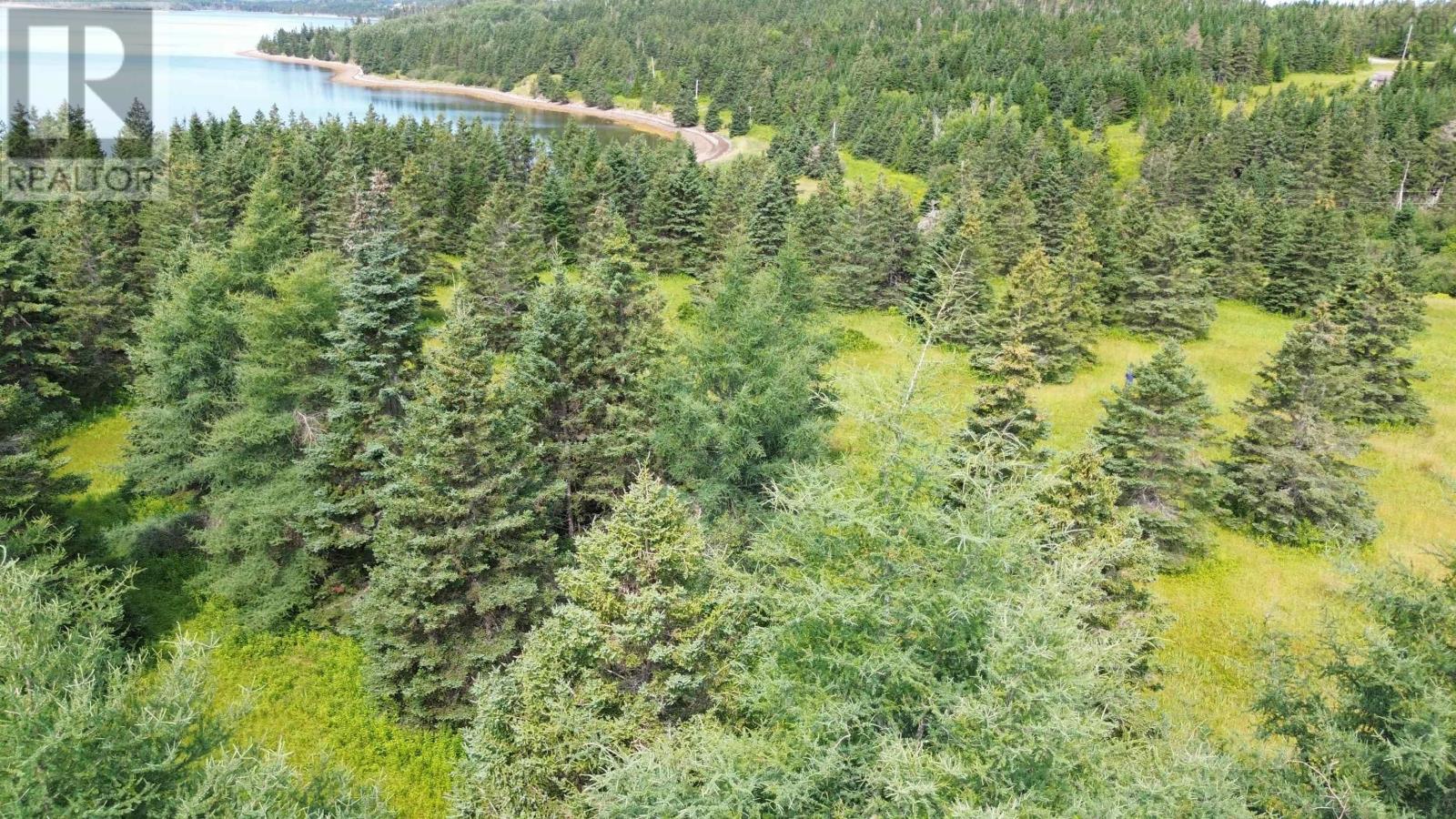 247 Highway, St. Peter's, Nova Scotia  B0E 3B0 - Photo 6 - 202501954