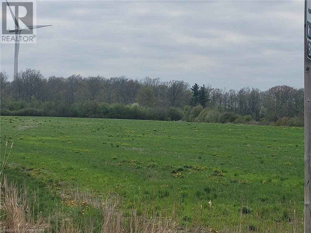 405 Concession 5 Road W, Fisherville, Ontario  N0A 1G0 - Photo 3 - 40694245