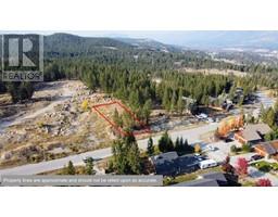 2480 CASTLESTONE Drive, invermere, British Columbia