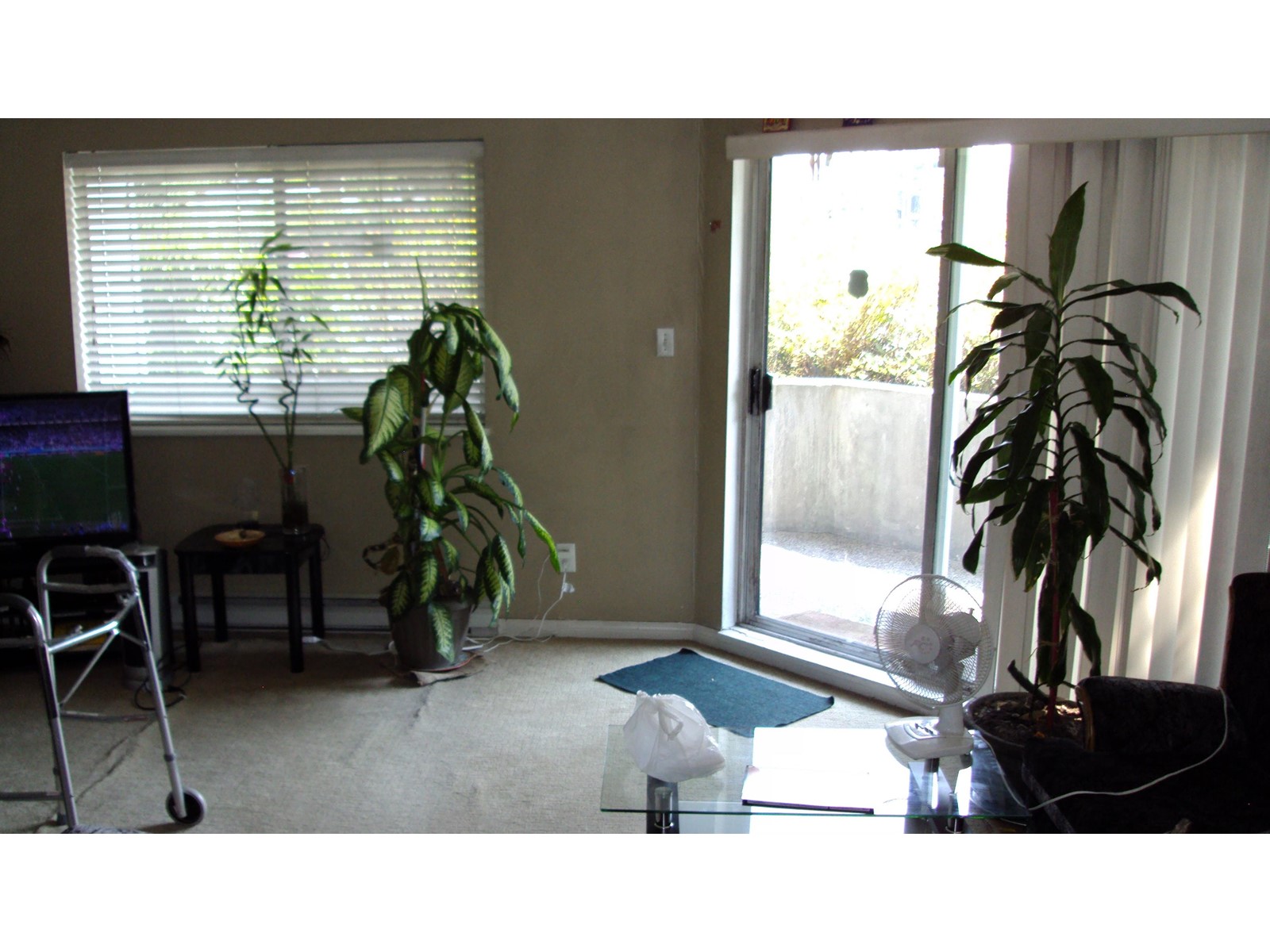 111 12101 80 Avenue, Surrey, British Columbia  V3W 5V6 - Photo 3 - R2962043