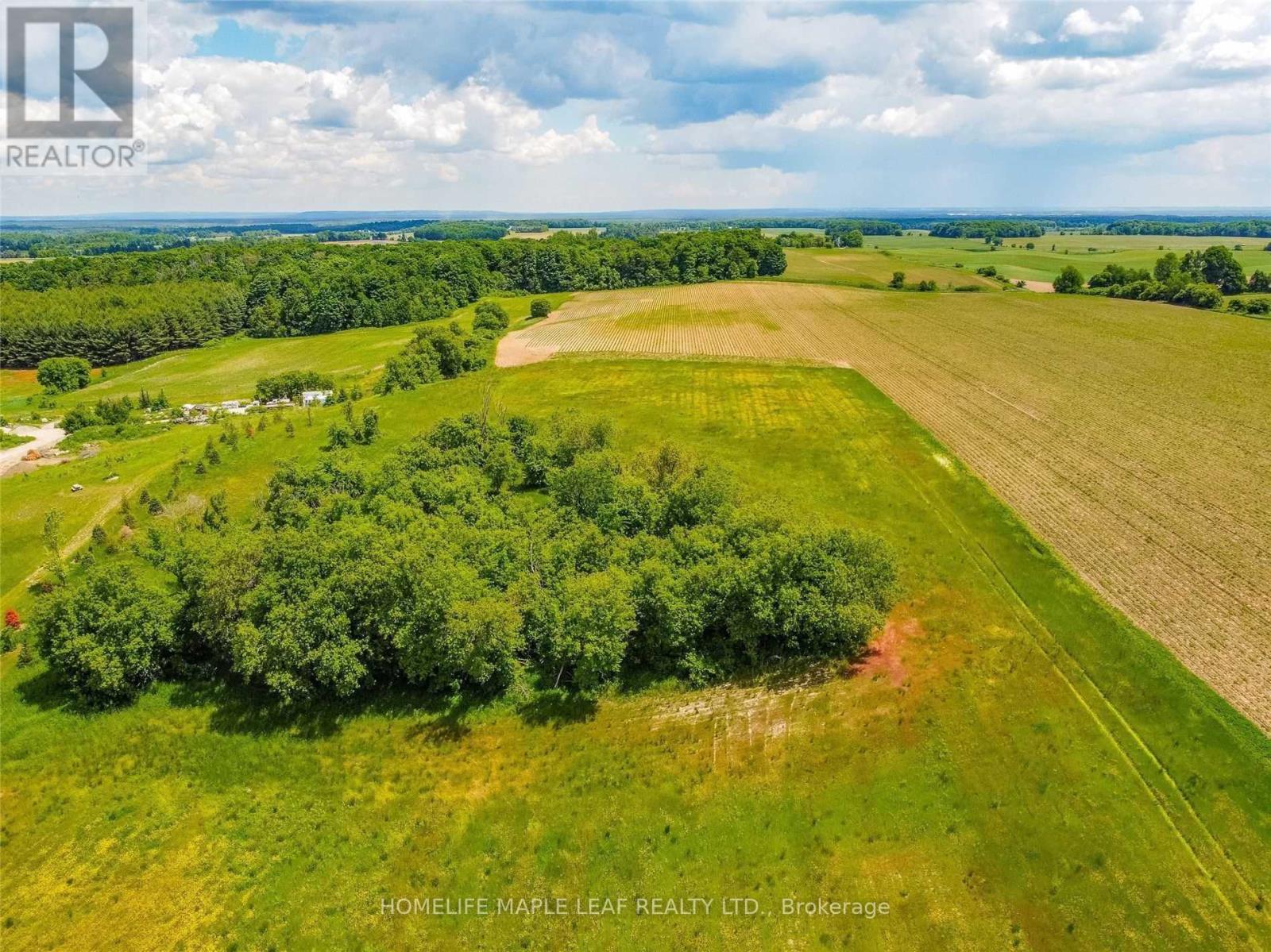 958423 7th Line N, Mulmur, Ontario  L9V 0M9 - Photo 16 - X11948246