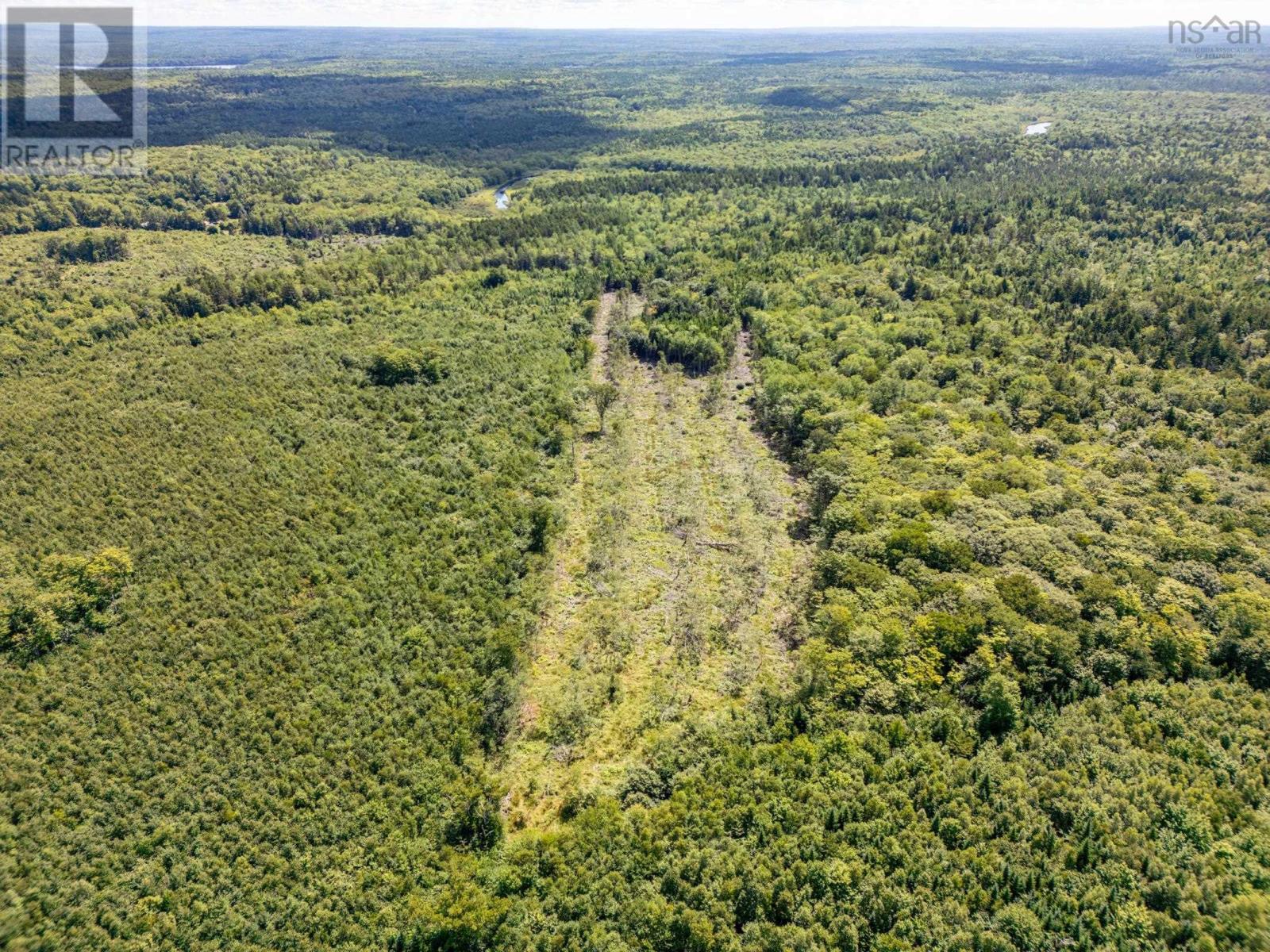 2780 Highway 340, Corberrie, Nova Scotia  B0W 3T0 - Photo 5 - 202501993