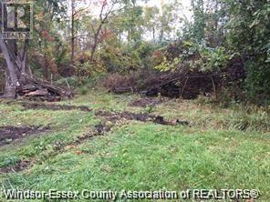 Property at V/L BETTS image 5