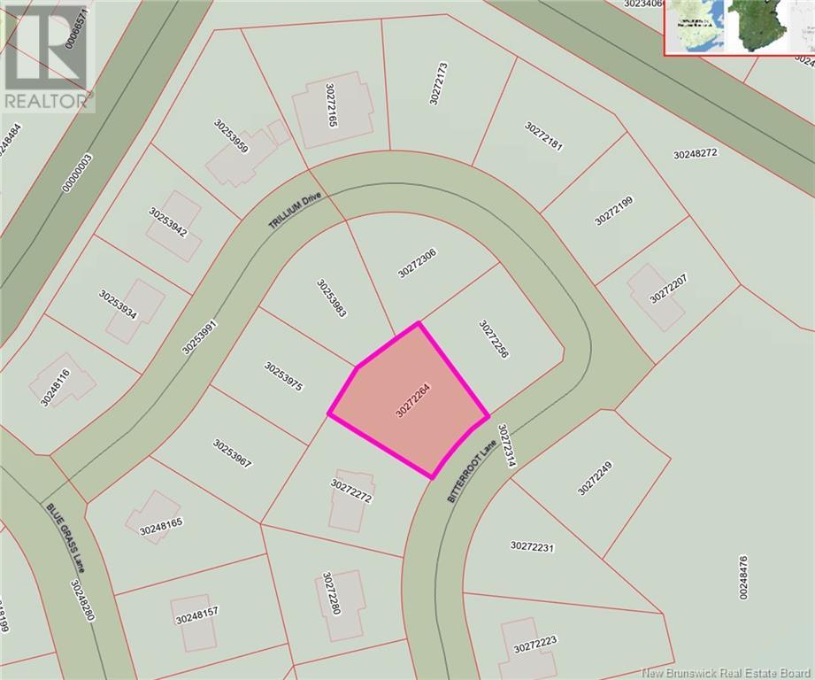 Property at 19 Bitterroot image