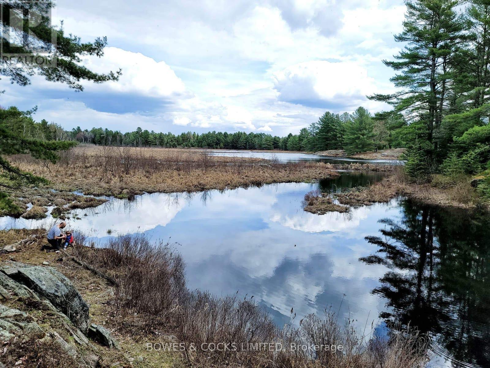 2449 The Ridge Road, Marmora And Lake, Ontario  K0L 1P0 - Photo 38 - X11948786