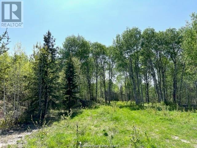 Pcl 19011 Fram Road, Wahnapitae, Ontario  P0M 3C0 - Photo 3 - 2120622
