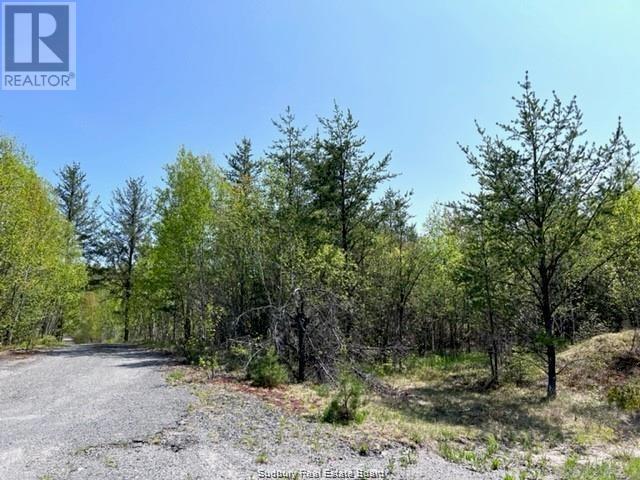 Pcl 19011 Fram Road, Wahnapitae, Ontario  P0M 3C0 - Photo 4 - 2120622