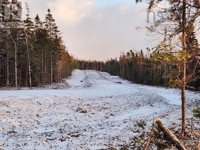 Lot 14 247 Highway, Grand Greve, Nova Scotia  B0E 3B0 - Photo 2 - 202502025