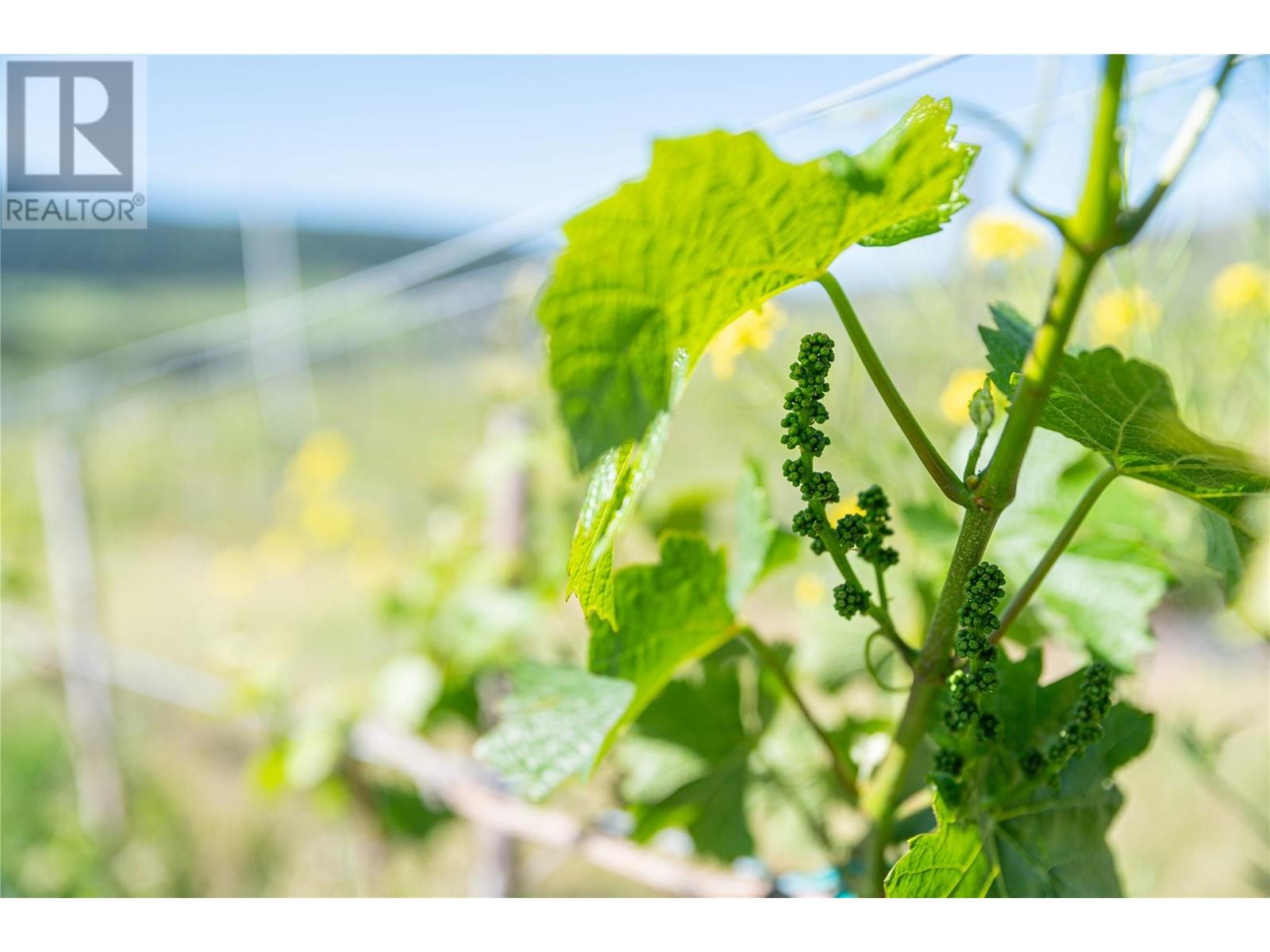 10450 Matner Lane, coldstream, British Columbia