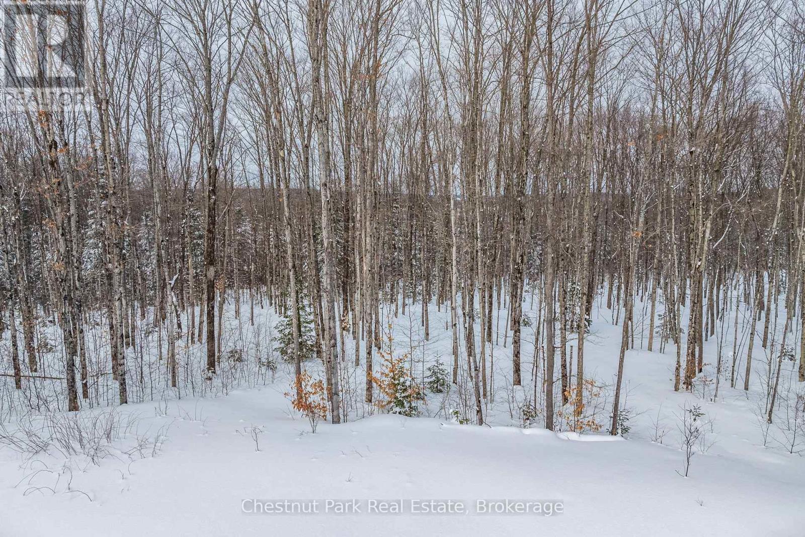 Lot 8 Millie's Way, Armour, Ontario  P0A 1C0 - Photo 26 - X11949103