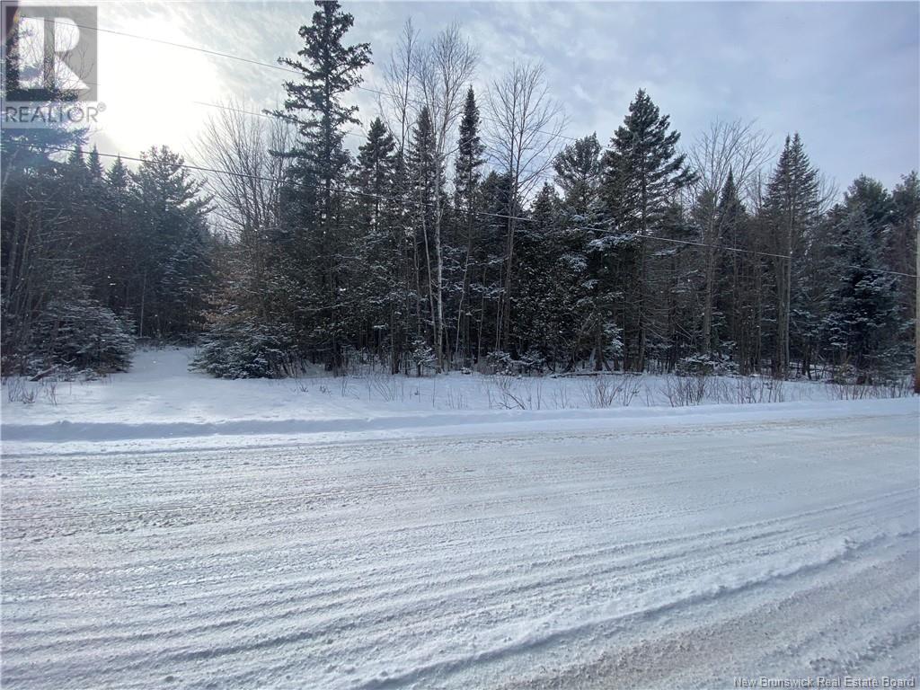 Lot 1-2025 Sisson Settlement Road, Burtts Corner, New Brunswick  E6L 1Y2 - Photo 6 - NB111877