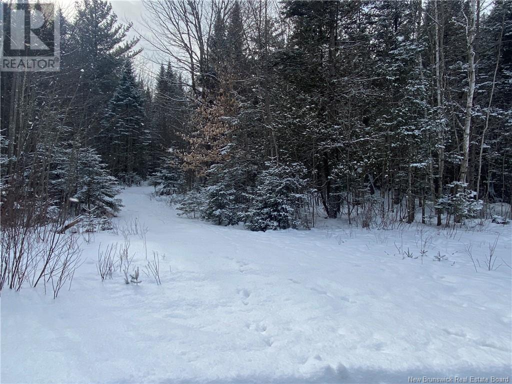 Lot 1-2025 Sisson Settlement Road, Burtts Corner, New Brunswick  E6L 1Y2 - Photo 5 - NB111877