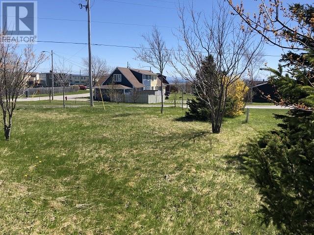 65 Ohio Drive, Stephenville, Newfoundland & Labrador  A2N 2W2 - Photo 2 - 1276190