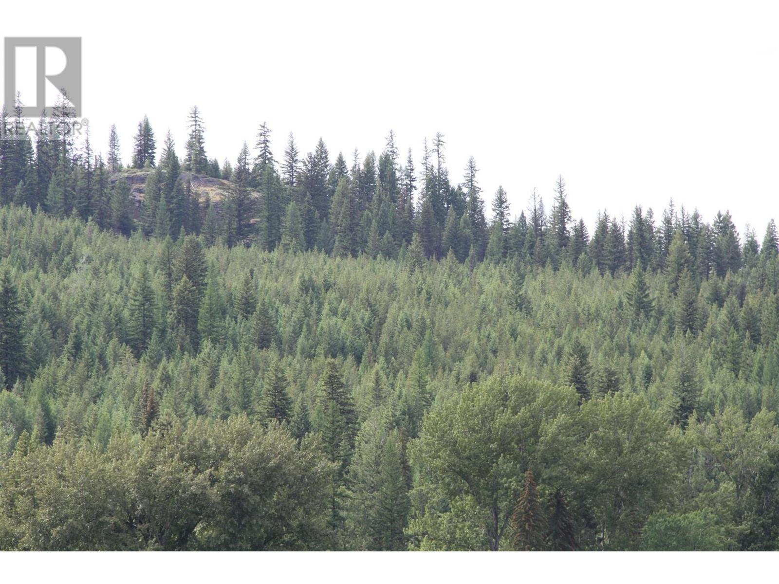 8595 Christian Valley Road, Westbridge, British Columbia  V0H 1Y0 - Photo 34 - 10334032