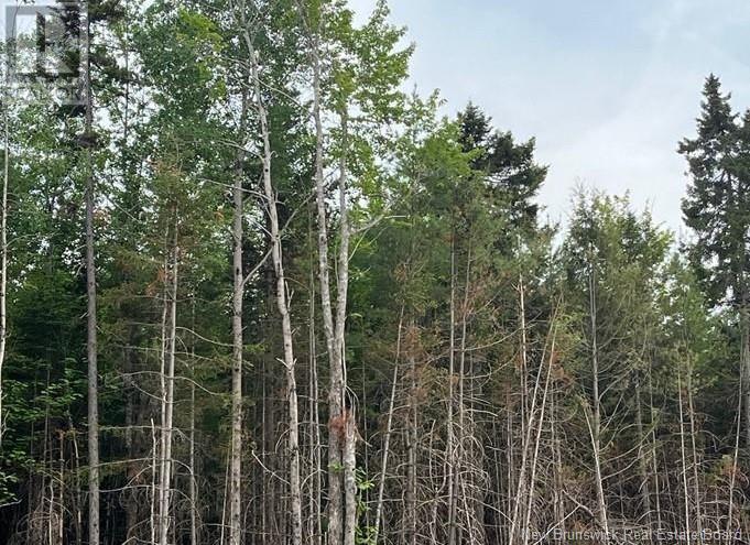 Lot 24-05 Chultun Court, Lower Coverdale, New Brunswick  E1J 1E5 - Photo 2 - NB112039