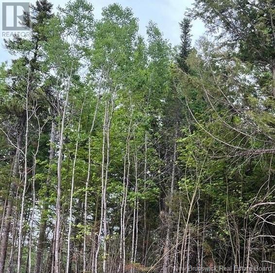 24-700 Stanley Street, Lower Coverdale, New Brunswick  E1J 0B6 - Photo 2 - NB112035