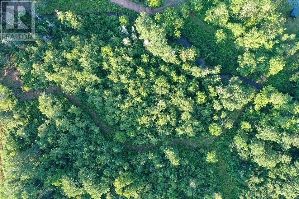 Ripley Road, Williamsdale, Nova Scotia  B0M 1E0 - Photo 11 - 202502056